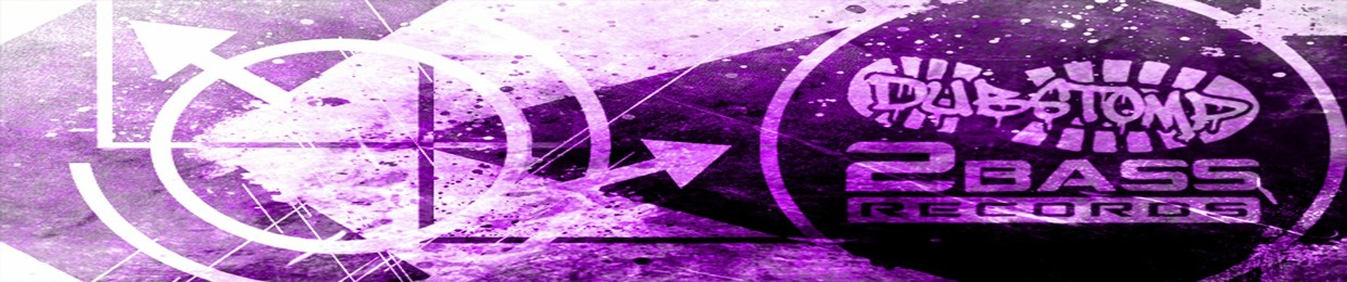 DUBSTOMP 2 BASS RECORDS (DS2B RECORDS)