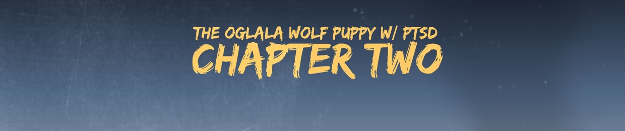 Stream Juq Music Listen To Songs Albums Playlists For Free On Soundcloud