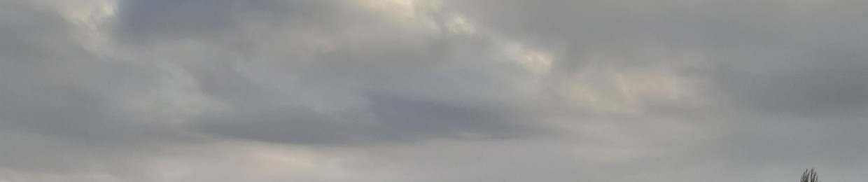 Melody and Rhythm Project