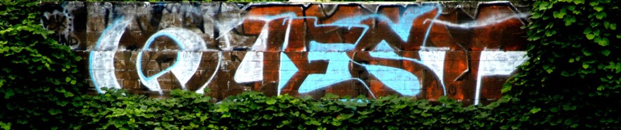 Quest & Reflex