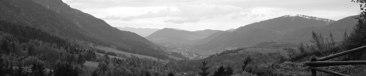 Patrick Kuhn Botelho