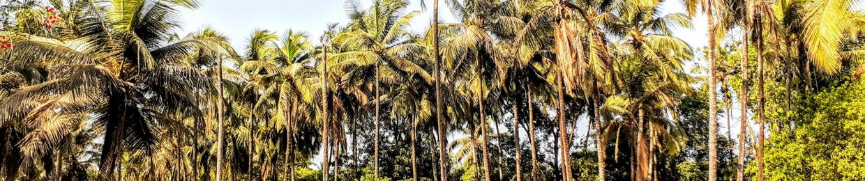 Kaustubh Palav