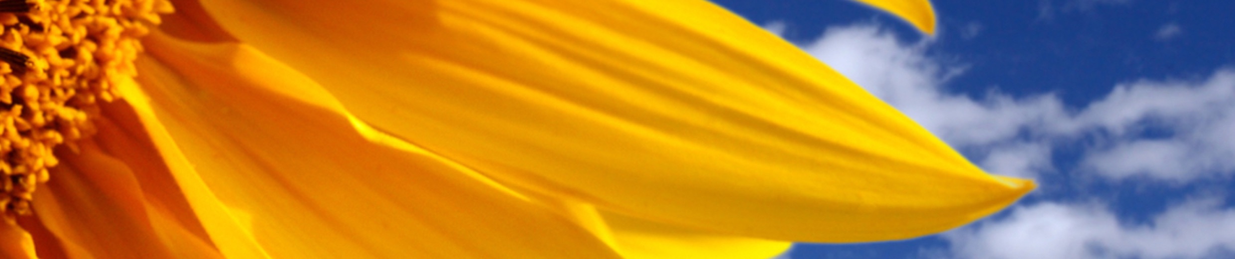 Download Abby Wynne from soundcloud to mp3