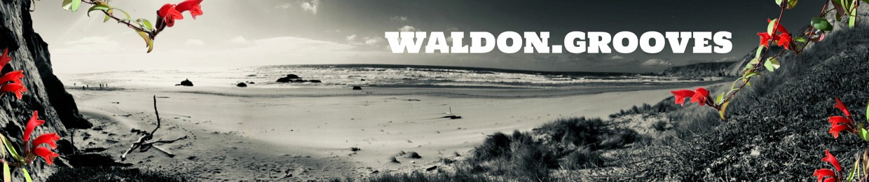 waldon.grooves