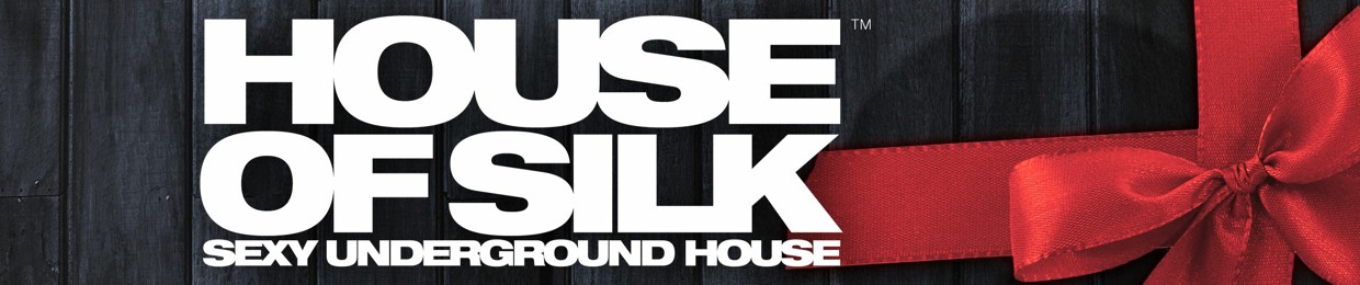 DJ S (House of  Silk)