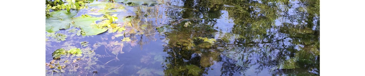 iaca (Massimo Giachetto)