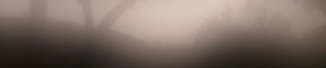 Phil Sih-Hsuan Huang