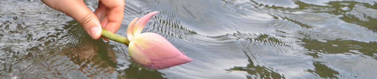 Ngânn Ngânn