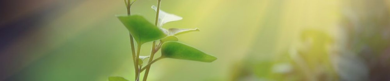 Breath of Life
