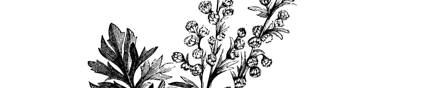 Molly June S Stream molly june s stream