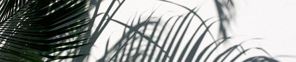 SoundCloud banner for @spelt