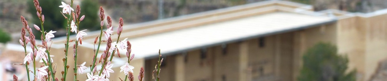 Matthew Keegan Phipps