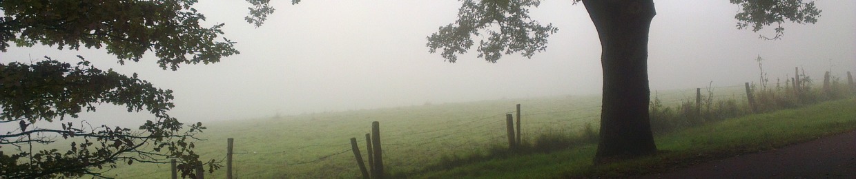 Blickhau5