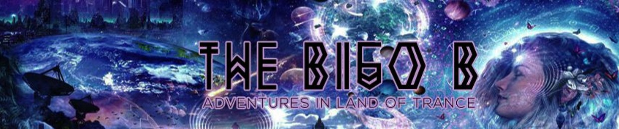 THE BIGO B
