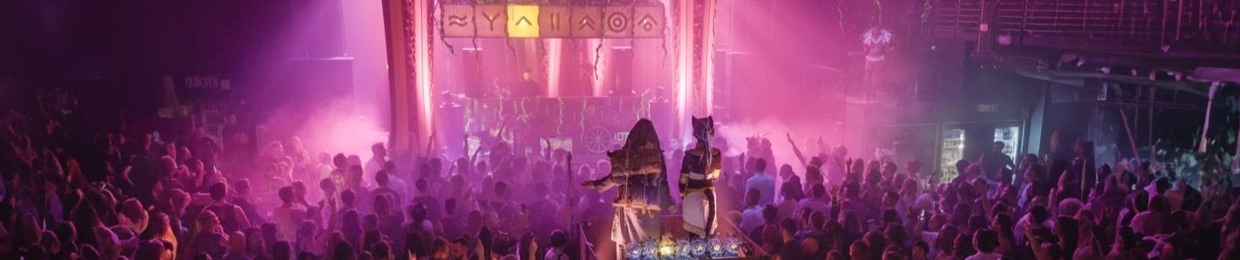 7 Vibes Journey