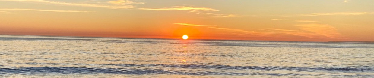 Radu Alexander Pieptea