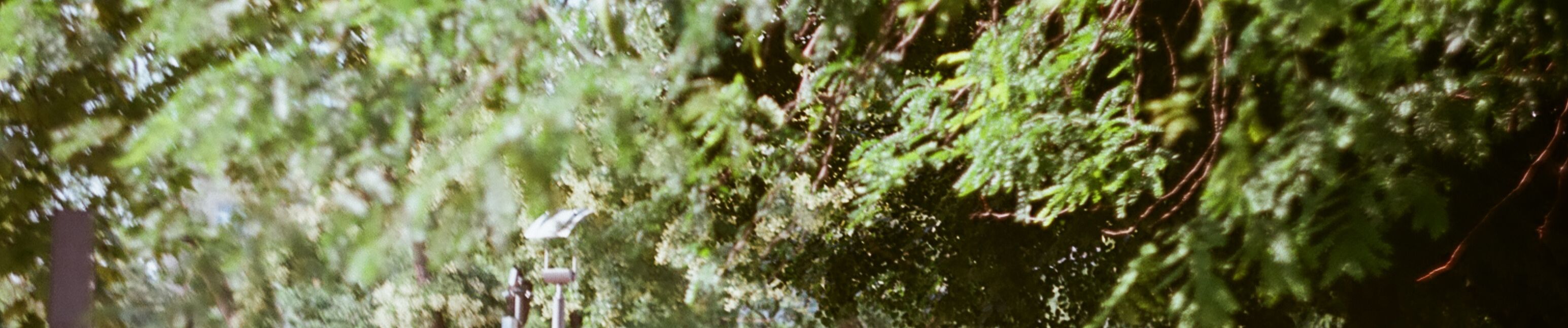 SoundCloud banner for @wander