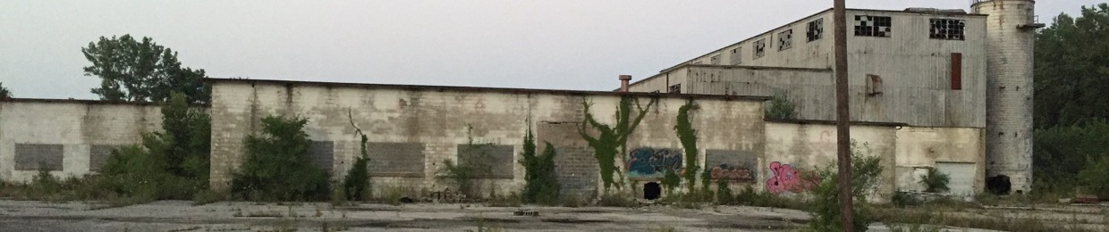 androo