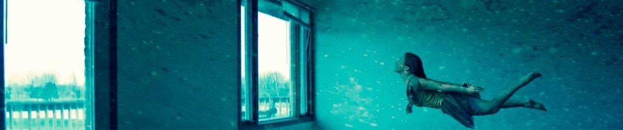 tollik_h