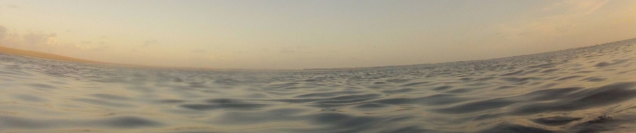 fbalduino