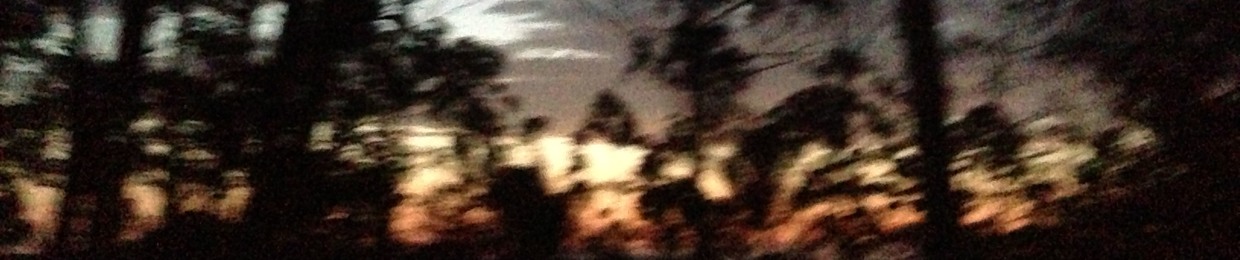 PR3DAT0R / Hustle coight (Sleep Depth Records)