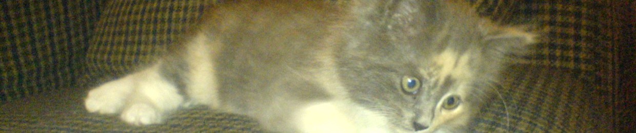 CykoTec