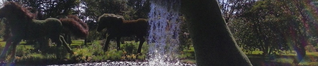 Awnree Naydin (A Montreal Paul)