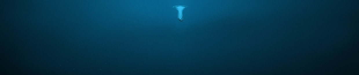 DeepSeabass