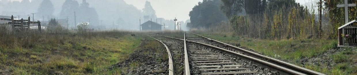 Francisco Transcendence