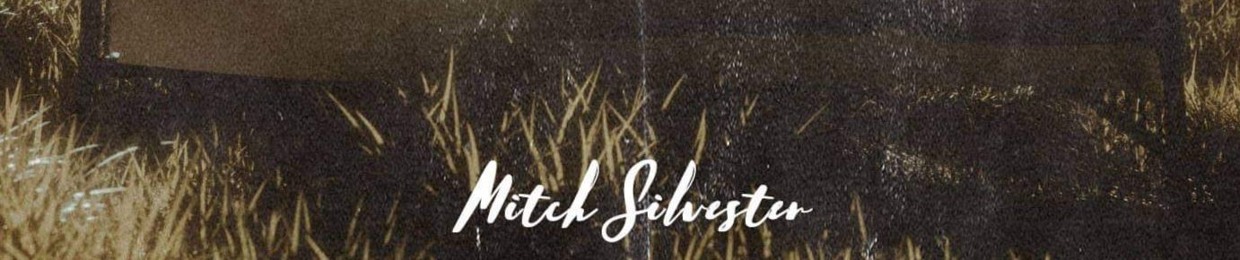 MitchSilvester