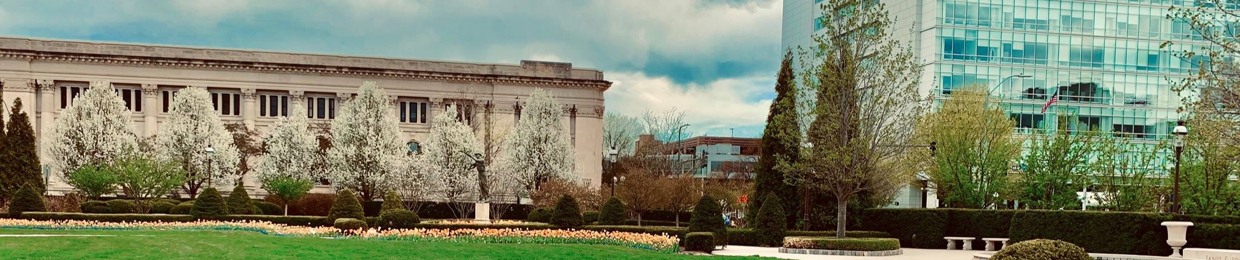 🐾  -Starpaws-  🌟