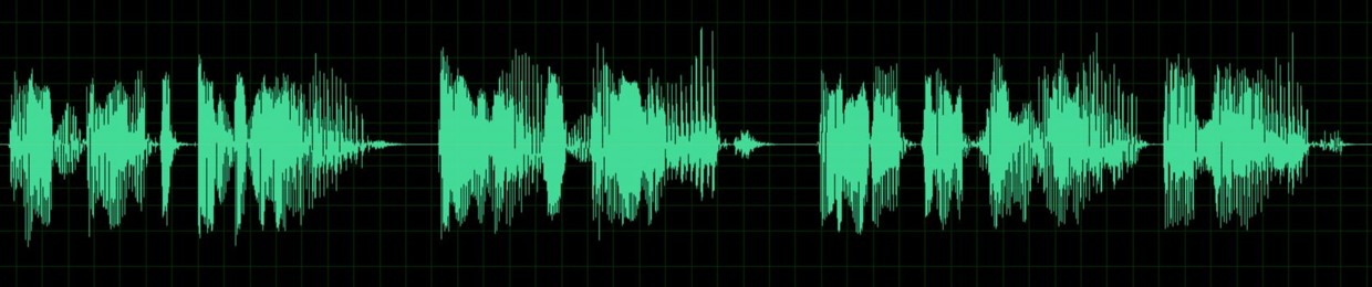 VoiceOverGuy JohnEricsson