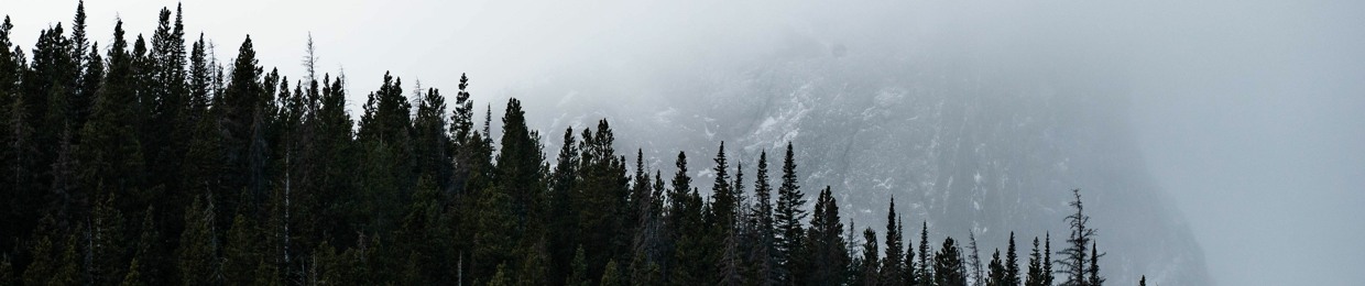 Francisco Salgado Trinidad