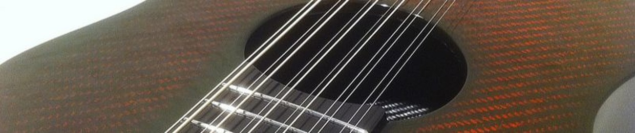 12Strings inc.