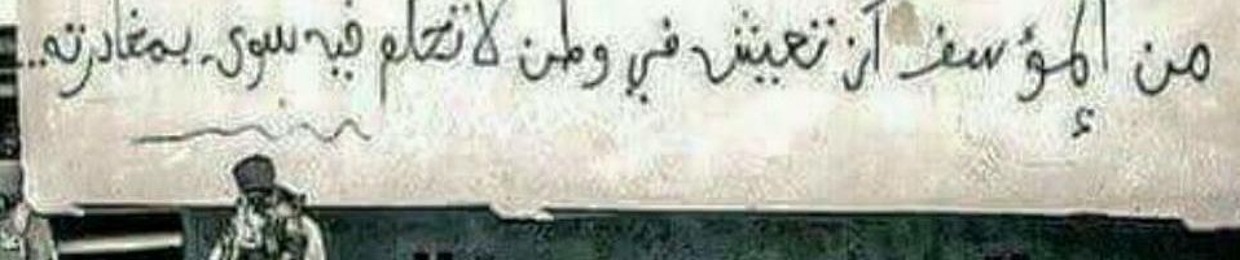 Shimaa ßadawy
