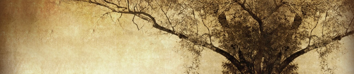 The Olsten Brothers Band