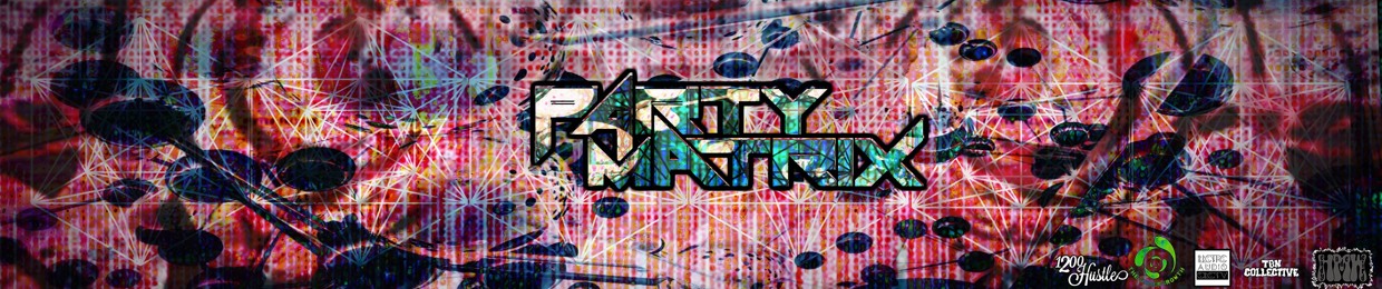Party Matrix