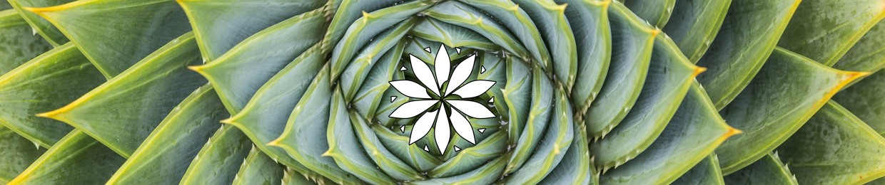 Kiyom | futureground.