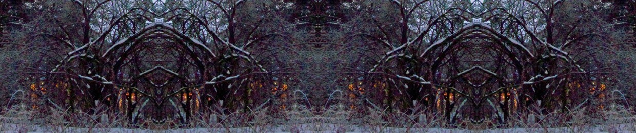 Chaos_Ohm