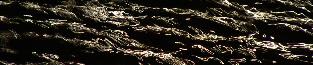 Particle Records