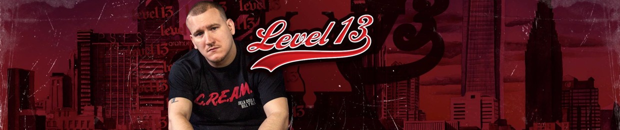 LEVEL 13