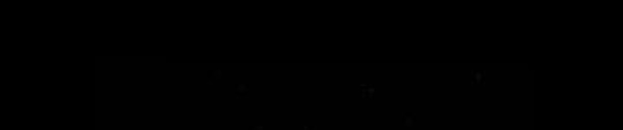 ViK