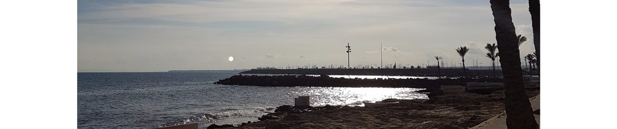 MonoToni