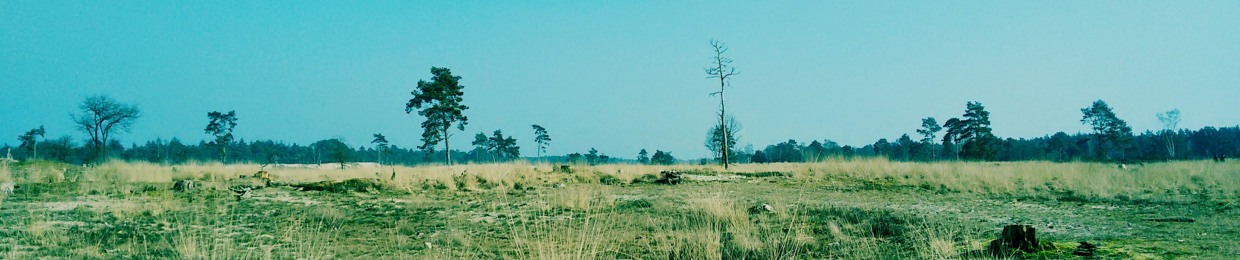 Photic Fields