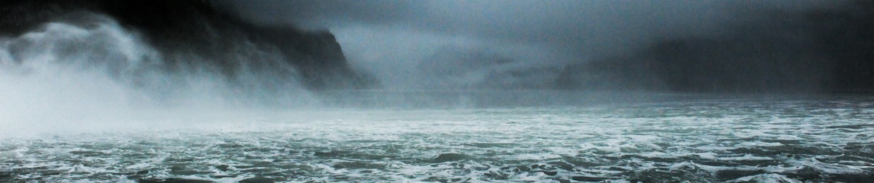 Ayelet Rose Gottlieb איילת רוז גוטליב