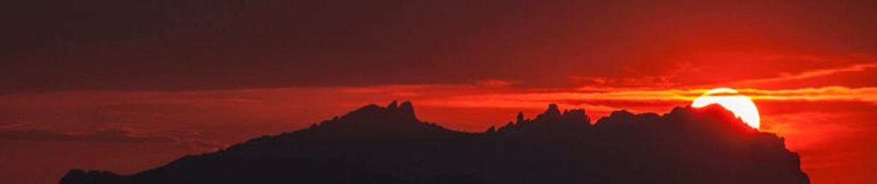 The Albert'AS Project