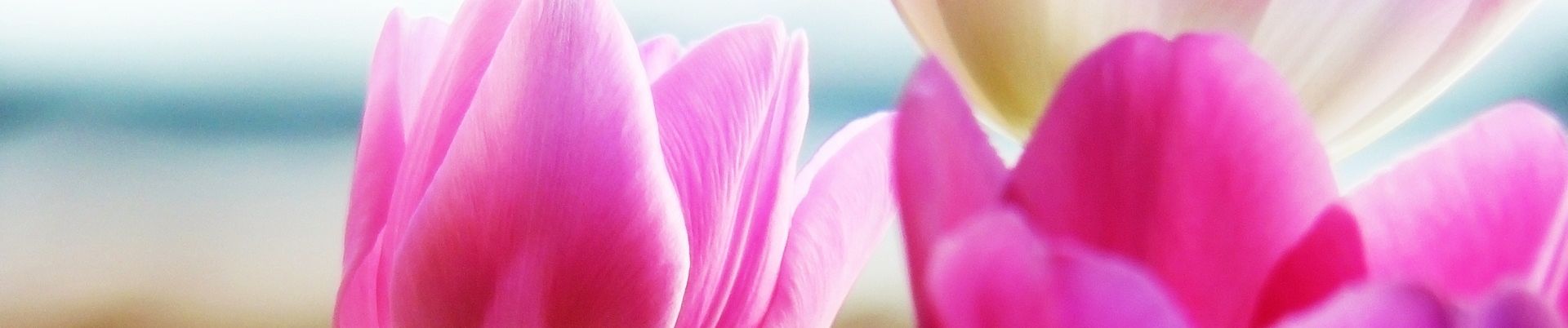 SoundCloud banner for @muhammad