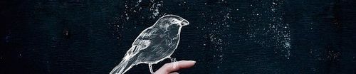 SoundCloud banner for @rasha