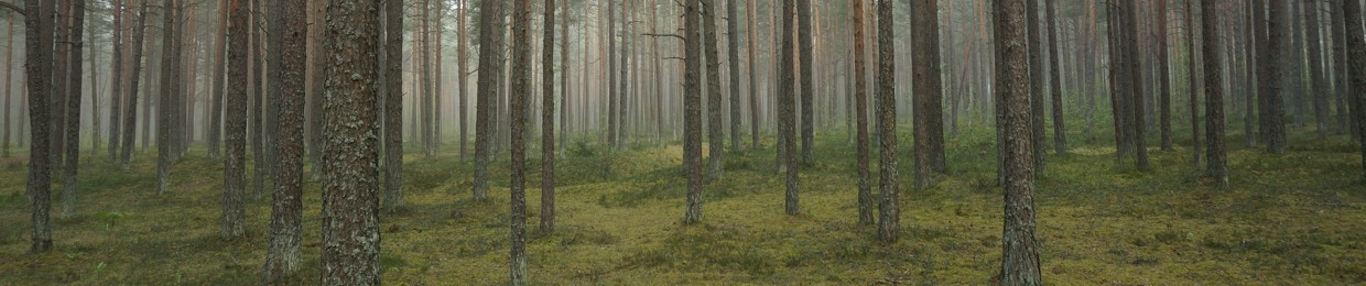 Kægo