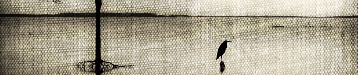 La Machination De Kandji